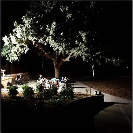 Oak Tree Cozy Appartamento